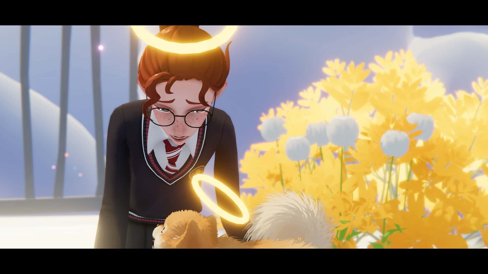 视觉数据5